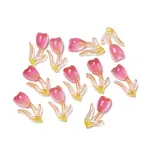 Luminous Transparent Resin Cabochons