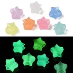 Luminous Acrylic Beads