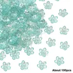 15g Transparent Acrylic Bead Caps