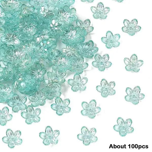 15g Transparent Acrylic Bead Caps