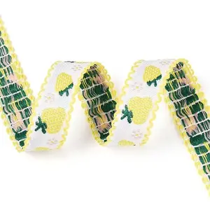 Polyester Strawberry Ribbon