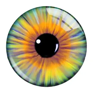 Mixed Animal Eye Pattern Glass Cabochons