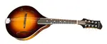 Eastman MD505-CS