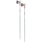 Nordic Walking hole LEKI Passion 120 cm