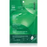 VT Cosmetics Pro Cica Reedle Shot 100 2Step Hydrogel Mask intenzivní hydrogelová maska se zklidňujícím účinkem 34.5 g