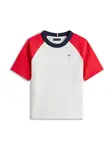 TOMMY HILFIGER Tričko  námornícka modrá / červená / biela