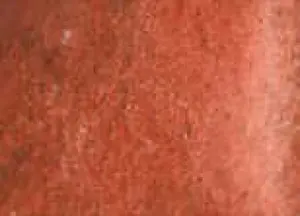 Akvarelová barva DS 15ml – 205 Garnet Genuine