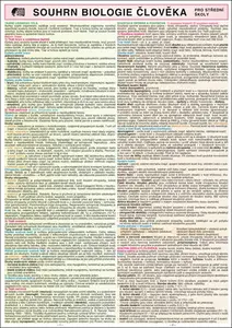 SOUHRN BIOLOGIE ČLOVĚKA pro SŠ A4 - Pešková Vlastimila