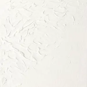 Olejová barva W&N Artists 37ml – 369 Titanium White