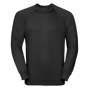 Men's sweatshirt Classic Sweat R762M 50/50 295g