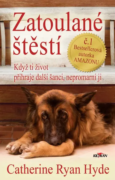 Zatoulané štěstí L - Catherine Ryan Hydeová