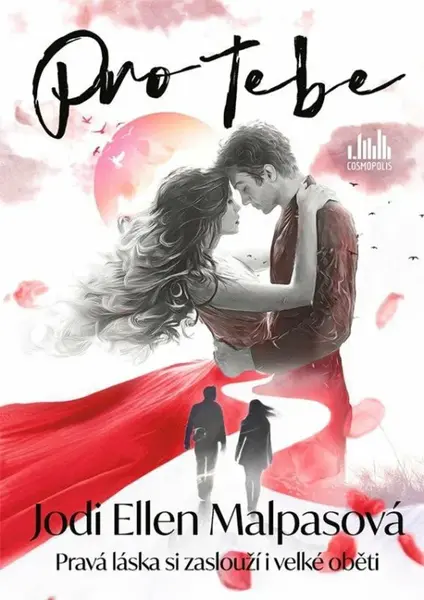 Pro tebe (poškozená) - Jodi Ellen Malpasová