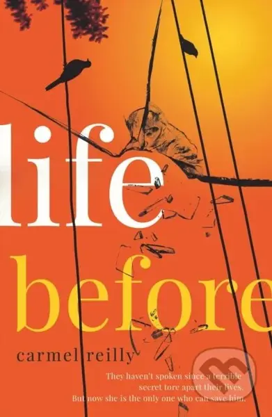 Life Before - Reilly Carmel - kniha z kategorie Beletrie