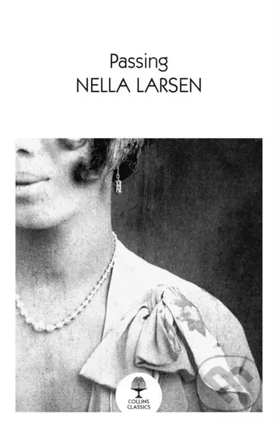 Passing - Nella Larsen - kniha z kategorie Společenská beletrie