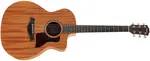 Taylor 24ce