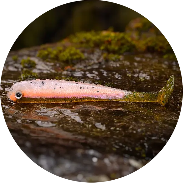 Redbass gumová nástraha ripper swimmer slim rainbow trout uv - s 70 mm