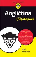 Angličtina pro nechápavé  Gail Brenner - Gail Brenner