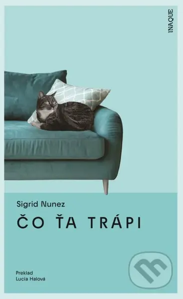 Čo ťa trápi - Sigrid Nunez