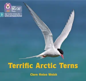 Terrific Arctic Terns - Clare Helen Welsh