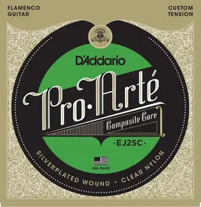 D'Addario EJ25C