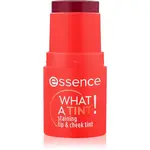 essence WHAT A TINT! multifunkční líčidlo na rty a tváře odstín 20 Grapefruit Bliss 5 g