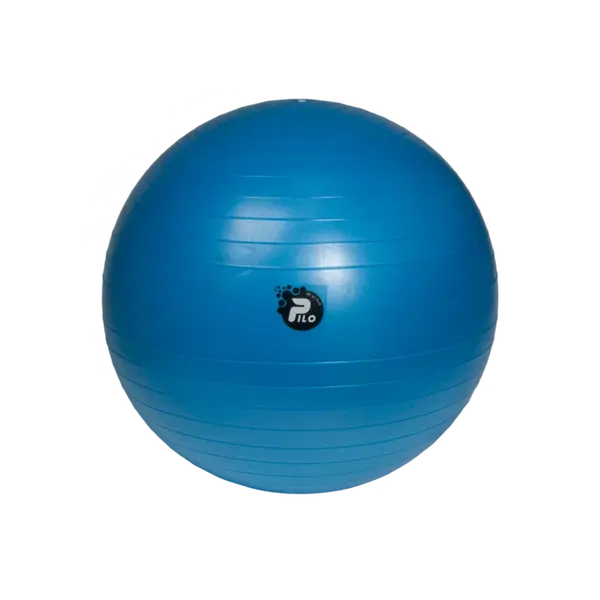 REHAFUND PILO-1065 rehabilitačná lopta 65cm ABS