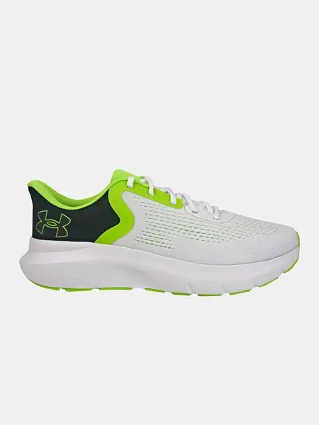 Men's shoes Under Armour Charged Rogue 5