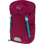 BAAGL TRACKER ROJ Outdoorový batoh, vínová, velikost