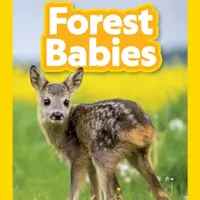 Forest Babies (Pre-Reader) - National Geographic, Michaela Weglinski
