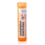 Caulophyllum thalictroides 15CH granule 1x4g