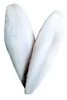 Kost sépiová 10cm ( /-3cm) 20ks