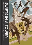 Swifts in a Tower - David Lack