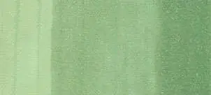 Copic classic marker – YG45 Cobalt Green