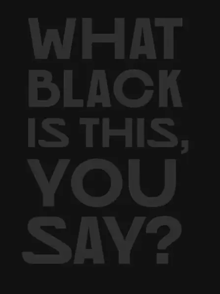 What Black Is This You Say? - Amanda Williams