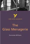 The Glass Menagerie (York Notes Advanced) English Literature Study Guide - for 2026, 2027 exams - Tennessee Williams, Rebecca Warren