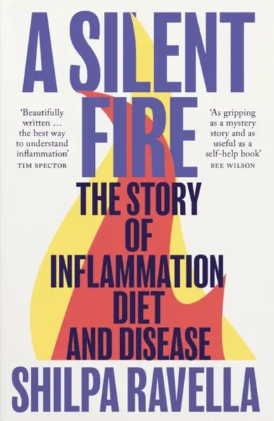 A Silent Fire - Shilpa Ravella