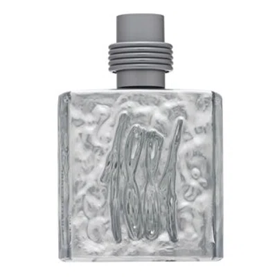 Cerruti 1881 Silver toaletní voda pro muže 100 ml