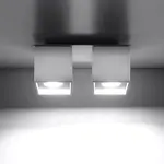 Stropná Lampa Dallas 2 WHITE A-065