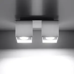 Stropná Lampa Dallas 2 WHITE A-065