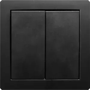 Vypínač matný čierny 12DWP-2