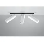 Stropné bodové svietidlo Indiana 3 biely A-497