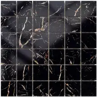 Mozaika Maxigen Black (4,8x4,8) 30/30