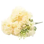 Kytica klinčekov 48cm krémová A2130224