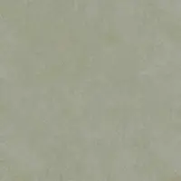 Dlažba Mrazuvzdorná Solid Béžová 80/80