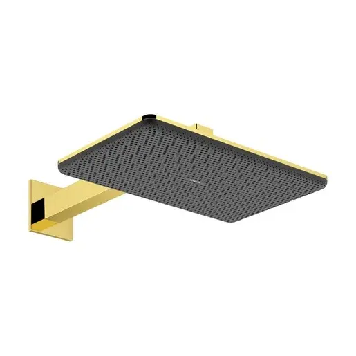 Hansgrohe Raindance Alive Q hlavová sprcha na stenu vrátane sprchového ramená leštený vzhľad zlata 24551990