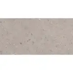 Dlažba Pastorelli Biophilic grey 60x120 cm mat P009415