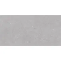 Obklad Rako Form Plus tmavo sivá 20x40 cm mat WADMB697.1