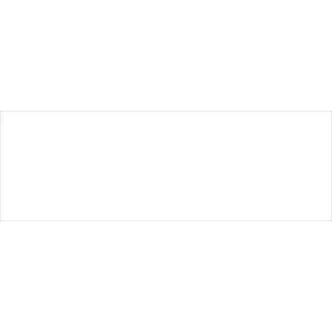 Obklad Fineza White Collection biela 30x90 cm lesk WHITE39LESK8R