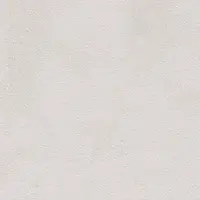 Dlažba Fineza Project svetlo sivá 60x60 cm mat DAR66370.1