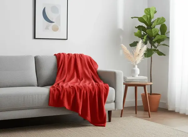 Mikroplyšová deka SOFT, červená Rozměr: 200 x 220 cm